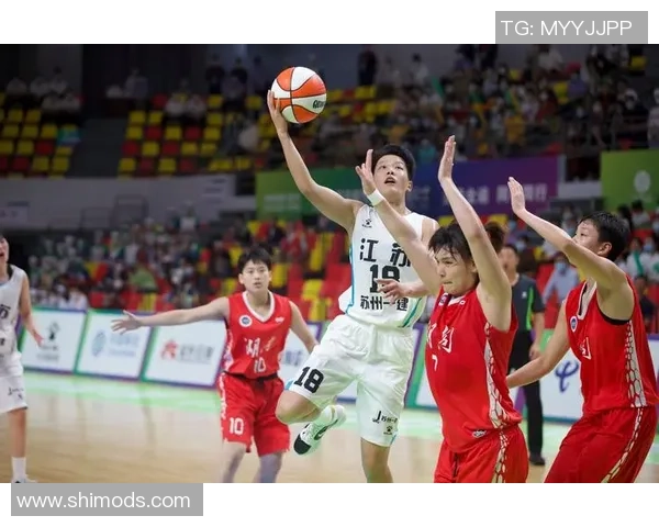 南京篮球队总决赛表现分析与状态评估全面解读