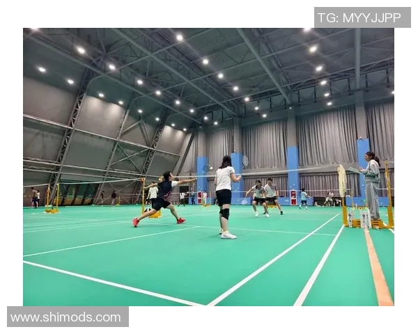 成都羽毛球队心理素质的变革与提升探讨热议羽毛球运动的未来发展